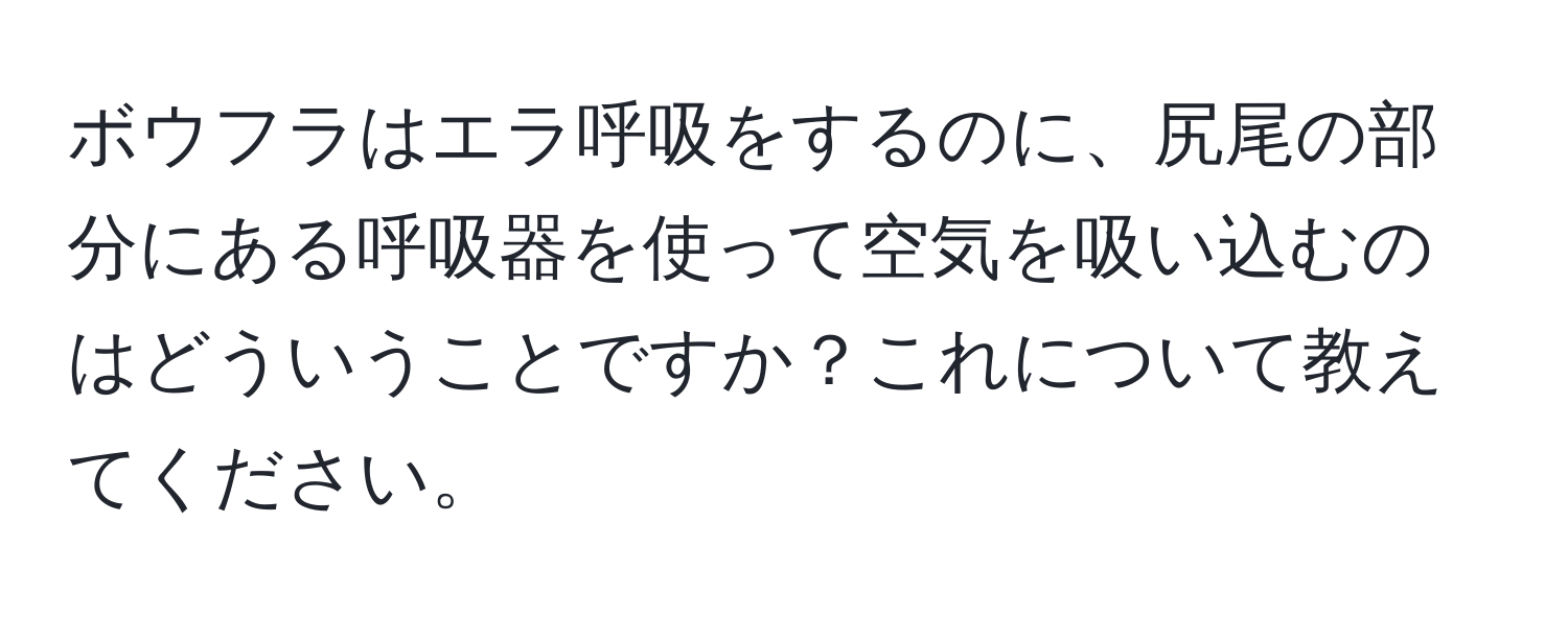 ボウフラはエラ呼吸をするのに、尻尾の部分にある呼吸器を使って空気を吸い込むのはどういうことですか？これについて教えてください。