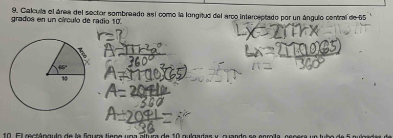 Calcula el área del sector sombreado así como la longitud del arco interceptado por un ángulo central de 65
grados en un círculo de radio 10.
10. El rectángulo de la figura tiene una altura de 10 pulgadas y, cuando se enrolla, genera un tubo de 5 pulgadas de