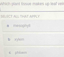 Which plant tissue makes up leaf veir
SELECT ALL THAT APPLY
a mesophyll
b xylem
c phloem