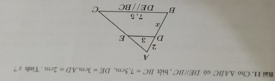 Cho △ ABC có DE//BC , biết BC=7,5cm,DE=3cm.AD=2cm. Tính x ?