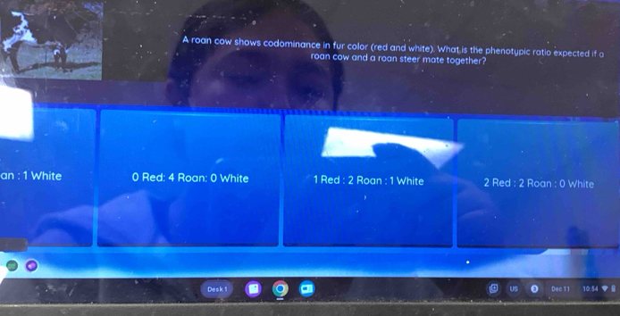 A roan cow shows codominance in fur color (red and white). What is the phenotypic ratio expected if a
roan cow and a roan steer mate together?
an : 1 White 0 Red: 4 Roan: 0 White 1 Red : 2 Roan : 1 White 2 Red : 2 Roan : 0 White
Desk 1 Dec 11