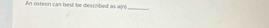 An osteon can best be described as a(n) _