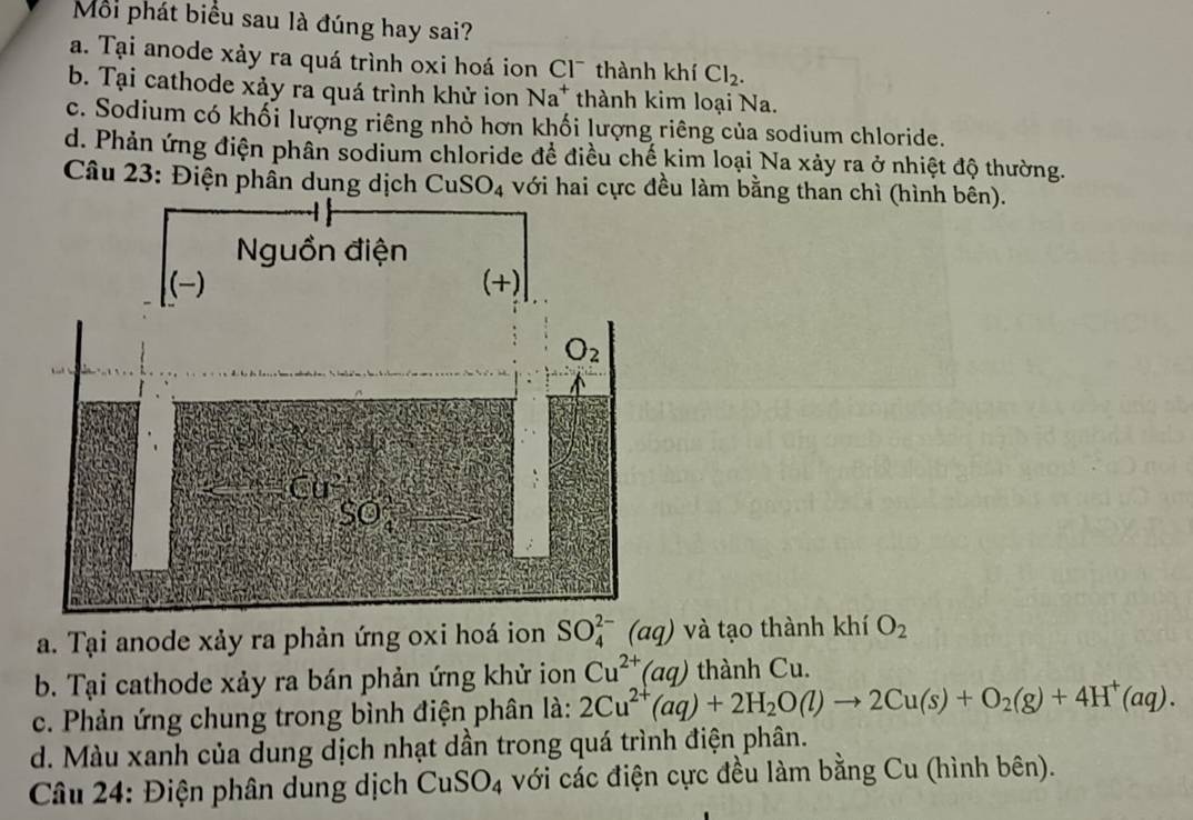 Mỗi phát biểu sau là đúng hay sai?
a. Tại anode xảy ra quá trình oxi hoá ion Cl¯ thành khí Cl_2.
b. Tại cathode xảy ra quá trình khử ion Na^+ thành kim loại Na.
c. Sodium có khối lượng riêng nhỏ hơn khối lượng riêng của sodium chloride.
d. Phản ứng điện phân sodium chloride đề điều chế kim loại Na xảy ra ở nhiệt độ thường.
Câu 23: Điện phân dung dịch CuSO_4 với hai cực đều làm bằng than chì (hình bên).
a. Tại anode xảy ra phản ứng oxi hoá ion SO_4^((2-)(aq) và tạo thành khí O_2)
b. Tại cathode xảy ra bán phản ứng khử ion Cu^(2+)(aq) thành Cu.
c. Phản ứng chung trong bình điện phân là: 2Cu^(2+)(aq)+2H_2O(l)to 2Cu(s)+O_2(g)+4H^+(aq).
d. Màu xanh của dung dịch nhạt dần trong quá trình điện phân.
Câu 24: Điện phân dung dịch CuSO_4 với các điện cực đều làm bằng Cu (hình bên).