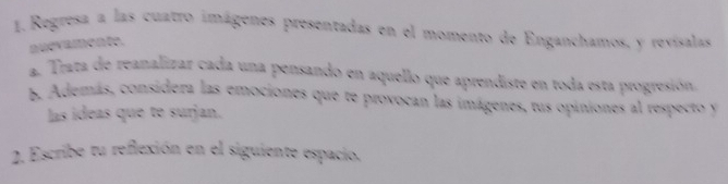 Regresa a las cuatro imágenes presentadas en el momento de Enganchamos, y revisalas 
nudvamento. 
a. Trata de reanalizar cada una pensando en aquello que aprendiste en toda esta progresión 
b. Además, considera las emociones que te provocan las imágenes, tus opiniones al respecto y 
las ideas que te surjan. 
2. Escribe tu reflexión en el siguiente espacio.