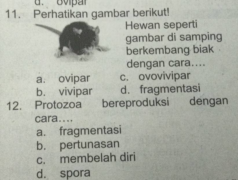 ovipar
11. Perhatikan gambar berikut!
Hewan seperti
gambar di samping
berkembang biak
dengan cara....
a. ovipar c. ovovivipar
b. vivipar d. fragmentasi
12. Protozoa bereproduksi dengan
cara....
a. fragmentasi
b. pertunasan
c. membelah diri
d. spora