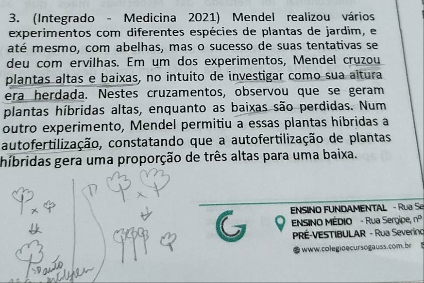 (Integrado - Medicina 2021) Mendel realizou vários 
experimentos com diferentes espécies de plantas de jardim, e 
até mesmo, com abelhas, mas o sucesso de suas tentativas se 
deu com ervilhas. Em um dos experimentos, Mendel cruzou 
plantas altas e baixas, no intuito de investigar como sua altura 
era herdada. Nestes cruzamentos, observou que se geram 
plantas híbridas altas, enquanto as baixas são perdidas. Num 
outro experimento, Mendel permitiu a essas plantas híbridas a 
autofertilização, constatando que a autofertilização de plantas 
híbridas gera uma proporção de três altas para uma baixa. 
ENSINO FUNDAMENTAL - Rua Se 
ENSINO MÉDIO - Rua Sergipe, n^0
PRÉ-VESTIBULAR - Rua Severino 
www.colegio e cur sogauss.com.br