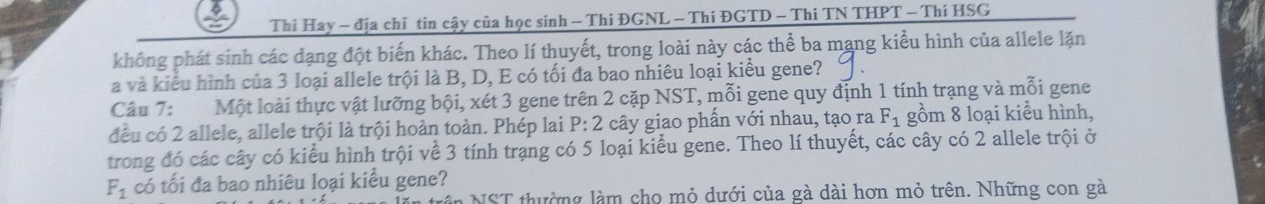 Thi Hay - địa chỉ tin cậy của học sinh - Thi ĐGNL - Thi ĐGTD - Thi TN THPT - Thí HSG 
không phát sinh các dạng đột biến khác. Theo lí thuyết, trong loài này các thể ba mạng kiểu hình của allele lặn 
a và kiểu hình của 3 loại allele trội là B, D, E có tối đa bao nhiêu loại kiểu gene? 
Câu 7: Một loài thực vật lưỡng bội, xét 3 gene trên 2 cặp NST, mỗi gene quy định 1 tính trạng và mỗi gene 
đều có 2 allele, allele trội là trội hoàn toàn. Phép lai P:2 cây giao phần với nhau, tạo ra F_1 gồm 8 loại kiểu hình, 
trong đó các cây có kiểu hình trội về 3 tính trạng có 5 loại kiểu gene. Theo lí thuyết, các cây có 2 allele trội ở
F_1 có tối đa bao nhiêu loại kiều gene? 
NST thường làm cho mỏ dưới của gà dài hơn mỏ trên. Những con gà