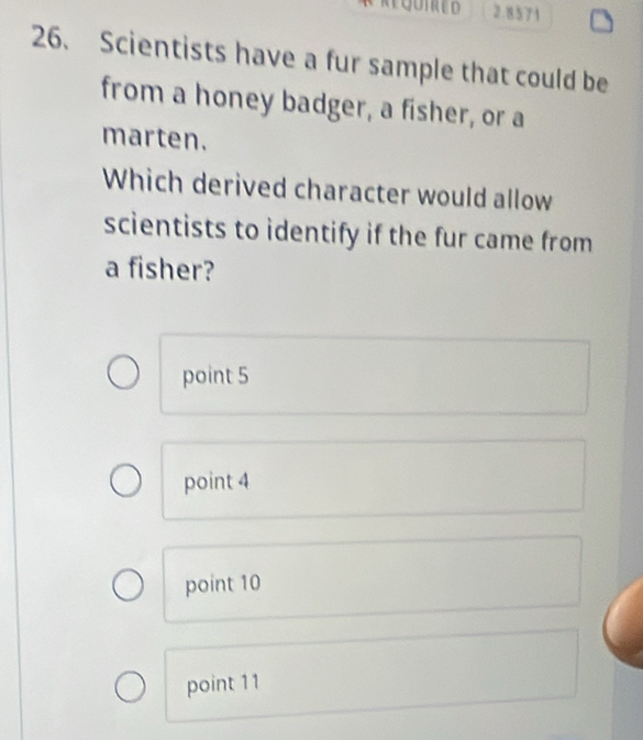 EQUIRED 2.8571
26. Scientists have a fur sample that could be
from a honey badger, a fisher, or a
marten.
Which derived character would allow
scientists to identify if the fur came from
a fisher?
point 5
point 4
point 10
point 11