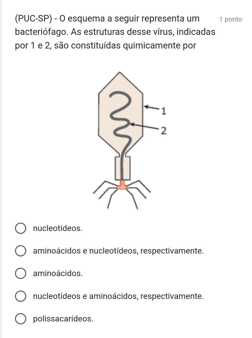 (PUC-SP) - O esquema a seguir representa um 1 ponto
bacteriófago. As estruturas desse vírus, indicadas
por 1 e 2, são constituídas quimicamente por
nucleo tídeos.
aminoácidos e nucleotídeos, respectivamente.
aminoácidos.
nucleotídeos e aminoácidos, respectivamente.
polissa carídeos.