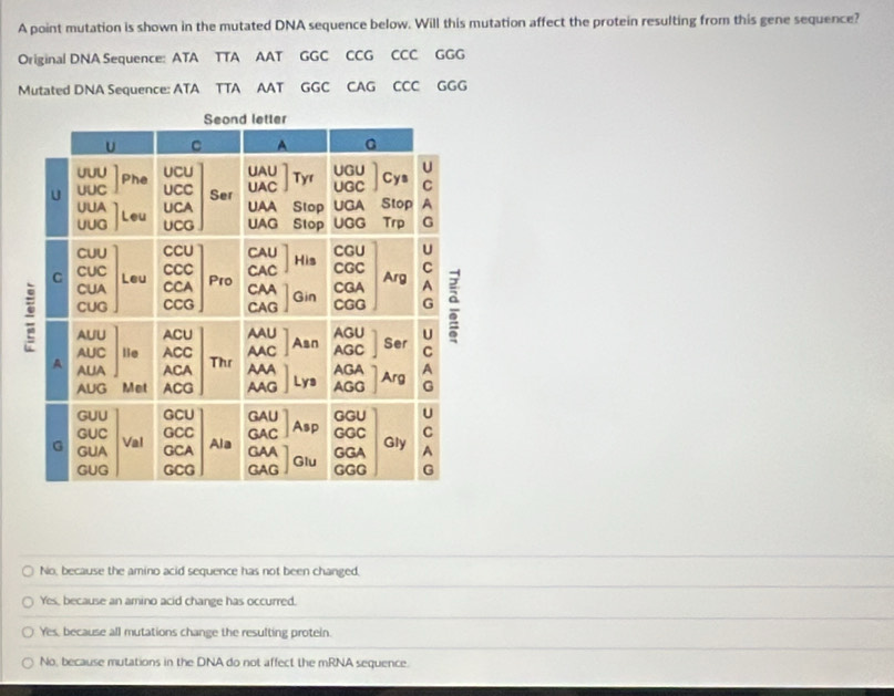 A point mutation is shown in the mutated DNA sequence below. Will this mutation affect the protein resulting from this gene sequence?
Original DNA Sequence: ATA TTA AAT GGC CCG CCC GGG
Mutated DNA Sequence: ATA TTA AAT GGC CAG CCC GGG
No, because the amino acid sequence has not been changed,
Yes, because an amino acid change has occurred.
Yes, because all mutations change the resulting protein.
No, because mutations in the DNA do not affect the mRNA sequence.