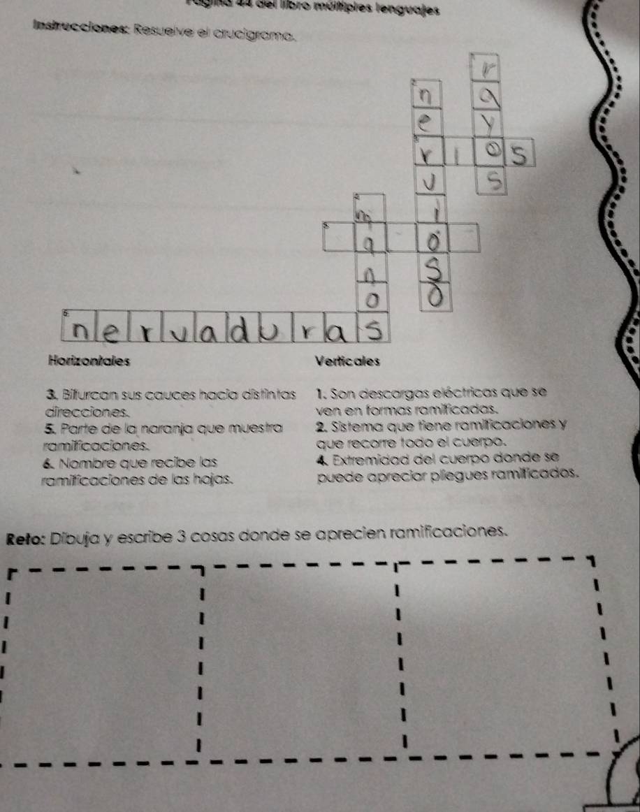 ágina 44 cel líbro múltiples lenguajes 
Instrucciones: Resueíve el crucigrama. 
3. Bifurcan sus cauces hacia distintas 1. Son descargas eléctricas que se 
direcciones. ven en formas ramificadas. 
5. Parte de la naranja que muestra 2. Sistema que tiene ramificaciones y 
ramificaciones. que recorre todo el cuerpo. 
6 Nombre que recibe las 4 Extremídad del cuerpo donde se 
ramificaciones de las hojas. puede aprecior plíegues ramificados. 
Reño: Díbuja y escribe 3 cosas donde se aprecien ramificaciones.