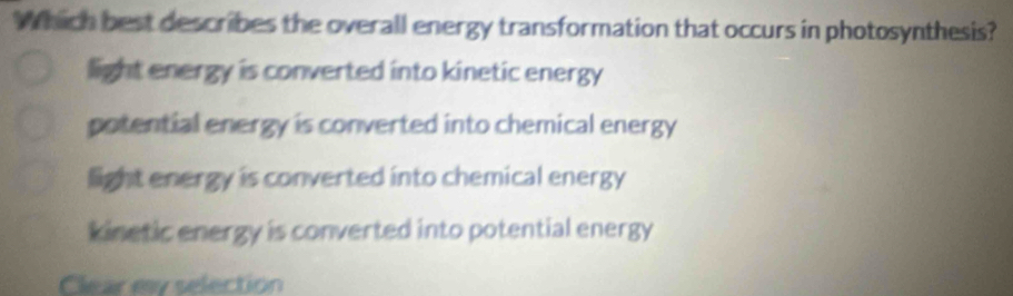 Which best describes the overall energy transformation that occurs in photosynthesis?
light energy is converted into kinetic energy
potential energy is converted into chemical energy
light energy is converted into chemical energy
kinetic energy is converted into potential energy
Clear ey selection