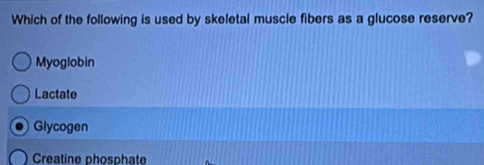 Which of the following is used by skeletal muscle fibers as a glucose reserve?
Myoglobin
Lactate
Glycogen
Creatine phosphate