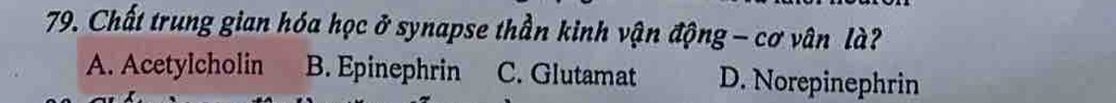 Chất trung gian hóa học ở synapse thần kinh vận động - cơ vân là?
A. Acetylcholin B. Epinephrin C. Glutamat D. Norepinephrin