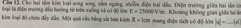 Cho hai tầm kim loại song song, nằm ngang, nhiễm điện trái dấu. Điện trường giữa hai tấm kim 
loại là điện trường đều hướng từ trên xuống và có độ lớn E=25000V/m. Khoảng không gian giữa hai tấm 
kim loại đó chứa đầy dầu. Một quả cầu bằng sắt bán kính R= 2 mang điện tích có độ lớn |q|= _  (μC)