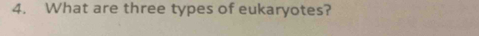 What are three types of eukaryotes?