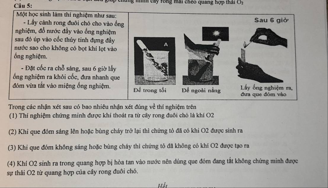 ng nnh cây rồng mài chéo quang hợp thái O2 
Một học sinh làm thí nghiệm như sau: 
- Lầy cành rong đuôi chó cho vào ốn 
nghiệm, đổ nước đầy vào ống nghiệm 
sau đó úp vào cốc thủy tinh đựng đầy 
nước sao cho không có bọt khí lọt vào 
ổng nghiệm. 
- Đặt cốc ra chỗ sáng, sau 6 giờ lấy 
ống nghiệm ra khỏi cốc, đưa nhanh que 
đóm vừa tắt vào miệng ống nghiệm. 
Trong các nhận xét sau có bao nhiêu nhận xét đúng về thí nghiệm trên 
(1) Thí nghiệm chứng minh được khí thoát ra từ cây rong đuôi chó là khí O2 
(2) Khi que đóm sáng lên hoặc bùng cháy trở lại thì chứng tỏ đã có khi O2 được sinh ra 
(3) Khi que đóm không sáng hoặc bùng cháy thì chứng tỏ đã không có khí O2 được tạo ra 
(4) Khí O2 sinh ra trong quang hợp bị hòa tan vào nước nên dúng que đóm đang tắt không chứng minh được 
sự thải O2 từ quang hợp của cây rong đuôi chó. 
Hết