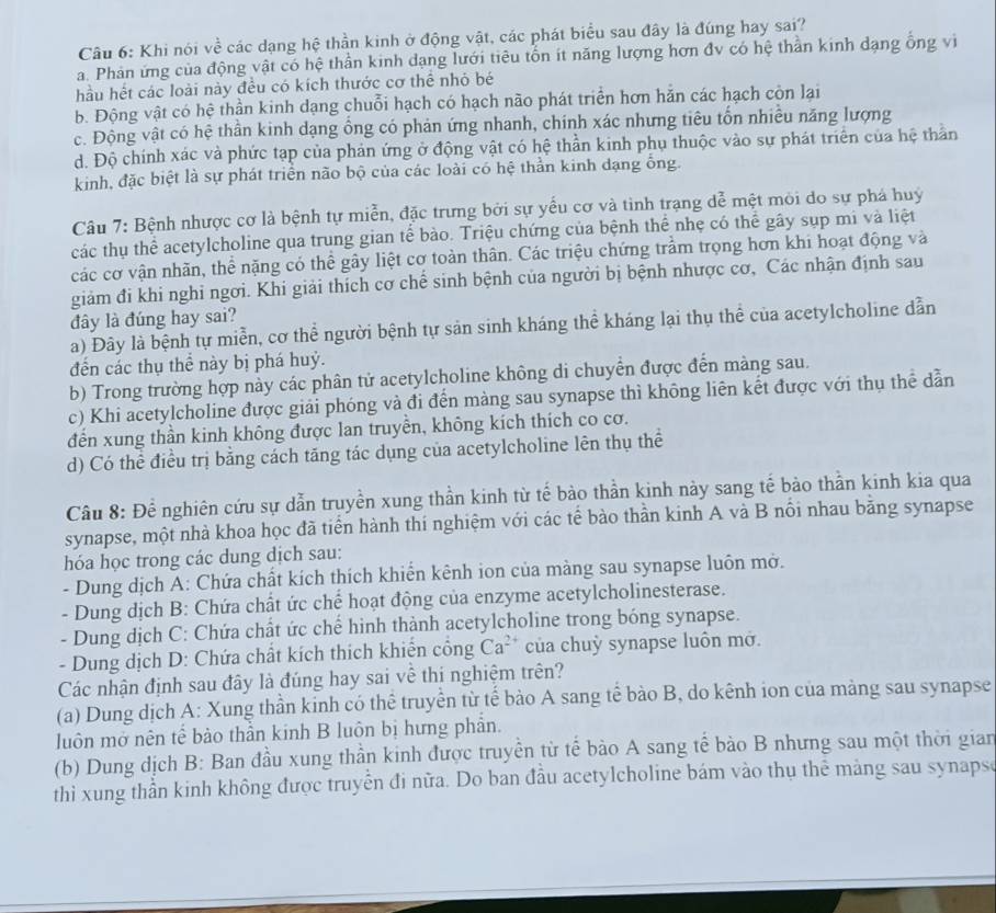 Khi nói về các dạng hệ thần kinh ở động vật, các phát biểu sau đây là đúng hay sai?
a. Phản ứng của động vật có hệ thần kinh dạng lưới tiêu tổn ít năng lượng hơn đv có hệ thần kinh dạng ổng vi
hầu hết các loài này đều có kích thước cơ thể nhỏ bé
b. Động vật có hệ thần kinh dạng chuỗi hạch có hạch não phát triển hơn hằn các hạch còn lại
c. Động vật có hệ thần kinh dạng ổng có phản ứng nhanh, chính xác nhưng tiêu tổn nhiều năng lượng
d. Độ chính xác và phức tạp của phản ứng ở động vật có hệ thần kinh phụ thuộc vào sự phát triển của hệ thần
kinh, đặc biệt là sự phát triển não bộ của các loài có hệ thần kinh dạng ổng.
Câu 7: Bệnh nhược cơ là bệnh tự miễn, đặc trưng bởi sự yểu cơ và tinh trạng dễ mệt môi do sự phá huy
các thụ thể acetylcholine qua trung gian tế bào. Triệu chứng của bệnh thể nhẹ có thể gây sụp mi và liệt
các cơ vận nhãn, thể nặng có thể gây liệt cơ toàn thân. Các triệu chứng trầm trọng hơn khi hoạt động và
giảm đi khi nghỉ ngơi. Khi giải thích cơ chế sinh bệnh của người bị bệnh nhược cơ, Các nhận định sau
đây là đúng hay sai?
a) Đây là bệnh tự miễn, cơ thể người bệnh tự sản sinh kháng thể kháng lại thụ thể của acetylcholine dẫn
đến các thụ thể này bị phá huỷ.
b) Trong trường hợp này các phân tử acetylcholine không di chuyển được đến màng sau.
c) Khi acetylcholine được giải phóng và đi đến màng sau synapse thì không liên kết được với thụ thể dẫn
đến xung thần kinh không được lan truyền, không kích thích co cơ.
d) Có thể điều trị bằng cách tăng tác dụng của acetylcholine lên thụ thể
Câu 8: Để nghiên cứu sự dẫn truyền xung thần kinh từ tế bào thần kinh này sang tế bảo thần kinh kia qua
synapse, một nhà khoa học đã tiển hành thí nghiệm với các tế bào thần kinh A và B nổi nhau bằng synapse
hóa học trong các dung dịch sau:
- Dung dịch A: Chứa chất kích thích khiển kênh ion của màng sau synapse luôn mở.
- Dung dịch B: Chứa chất ức chế hoạt động của enzyme acetylcholinesterase.
- Dung dịch C: Chứa chất ức chế hinh thành acetylcholine trong bóng synapse.
- Dung dịch D: Chứa chất kích thích khiến cổng Ca^(2+) của chuỳ synapse luôn mở.
Các nhận định sau đây là đúng hay sai về thi nghiệm trên?
(a) Dung dịch A: Xung thần kinh có thể truyền từ tế bào A sang tế bào B, do kênh ion của màng sau synapse
luôn mở nên tế bào thần kinh B luôn bị hưng phần.
(b) Dung dịch B: Ban đầu xung thần kinh được truyền từ tế bào A sang tế bào B nhưng sau một thời gian
thì xung thần kinh không được truyền đi nữa. Do ban đầu acetylcholine bám vào thụ thể mảng sau synapse