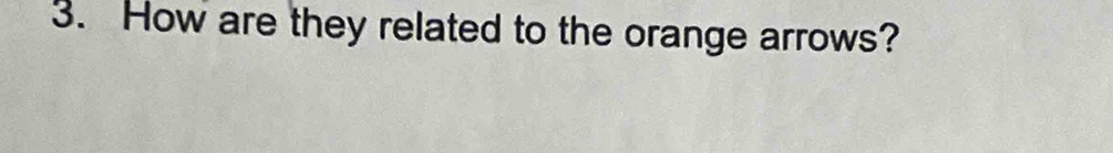 How are they related to the orange arrows?