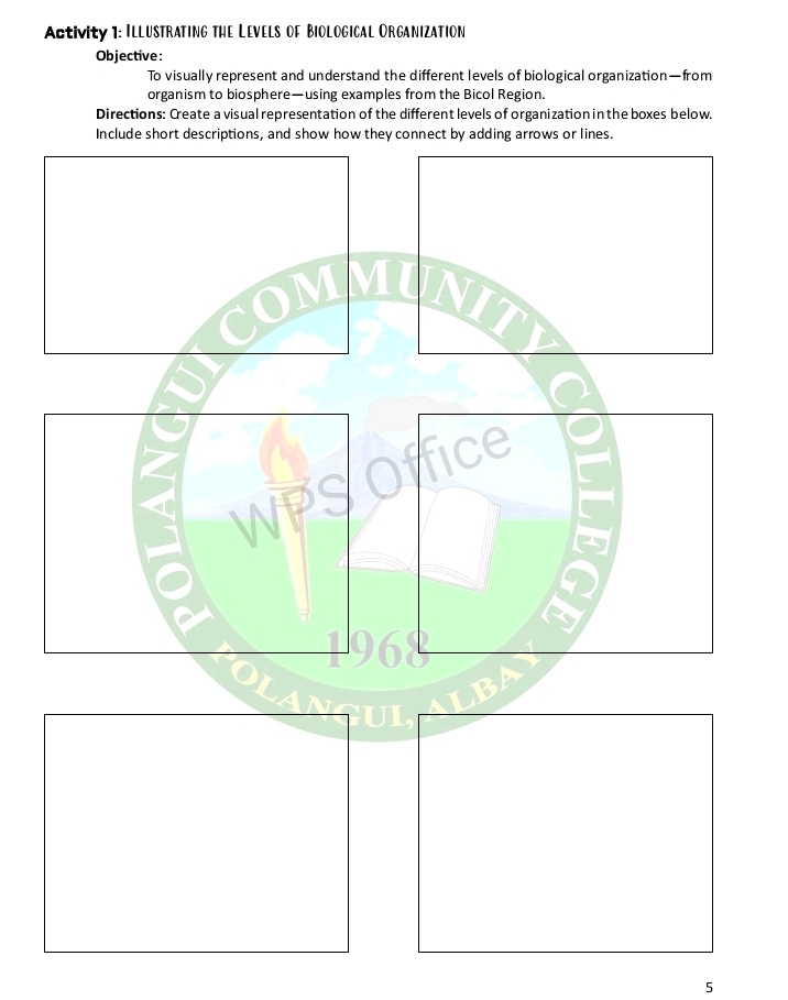 Activity 1: Illustrating the Levels of Biological Organization 
Objective: 
To visually represent and understand the different levels of biological organization—from 
organism to biosphere—using examples from the Bicol Region. 
Directions: Create a visual representation of the different levels of organization in the boxes below. 
Include short descriptions, and show how they connect by adding arrows or lines. 
5