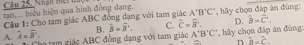 Nhận Biết du
tạo,... biểu hiện qua hình đồng dạng.
Câu 1: Cho tam giác ABC đồng dạng với tam giác A'B'C' , hãy chọn đáp án đúng:
B. widehat B=widehat B'. C. hat C=hat B'. D. widehat B=widehat C'.
A. widehat A=widehat B. A'B'C' , hãy chọn đáp án đúng:
Cho tạm giác ABC đồng dạng với tam giác
D. hat B=hat C.