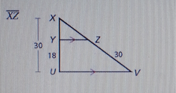 overline XZ