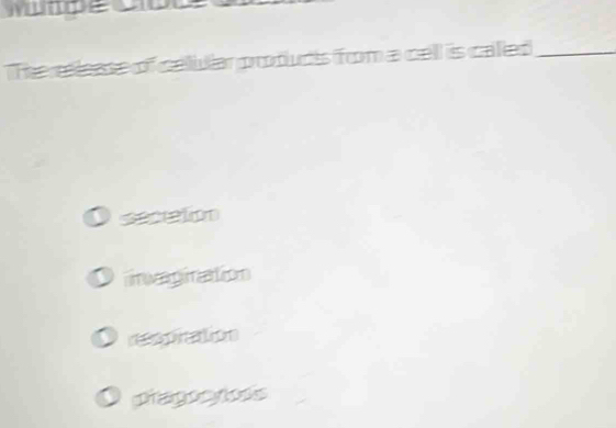 wtpe co
The elease of celiuiar products from a cell is called_
secation
iinvagination
ropration
pragocyoss