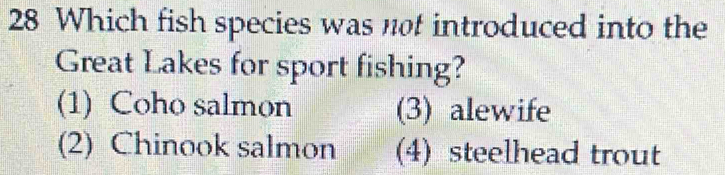 Which fish species was not introduced into the
Great Lakes for sport fishing?
(1) Coho salmon (3) alewife
(2) Chinook salmon (4) steelhead trout