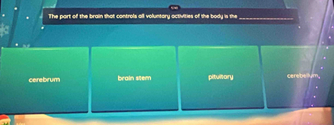 The part of the brain that controls all voluntary activities of the body is the_
cerebrum brain stem pituitary cerebellum,