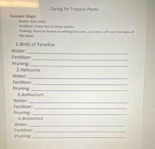 Caring for Tropical Plants 
Example; Ginger 
Water: Mist daily 
Fertilizer: Every two to three weeks
Pruning: Remove brown or wilting blossoms. Cut stems off near the base of 
the plant. 
1. Birds of Paradise 
_ 
Water: 
_ 
Fertilizer: 
Pruning:_ 
2. Heliconia 
Water: 
_ 
Fertilizer: 
_ 
Pruning:_ 
3. Anthurium 
Water:_ 
Fertilizer:_ 
Pruning:_ 
4.Bromeliad 
Water:_ 
Fertilizer:_ 
Pruning:_