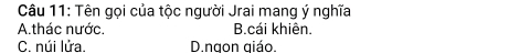 Tên gọi của tộc người Jrai mang ý nghĩa
A.thác nước. B.cái khiên.
C. núi lửa. D.ngon qiáo.