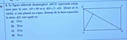 In figura alăturată dreptunghiul ABCD reprezintă schița
unui pare in care AB=40m si BD=2· AD Știind că în
vârful 4 este plantat un copac, distanța de la baza copacului
la aleea BD este egală cu:
a) 10 m
b) 20 m
c) 25m
d) 30 m