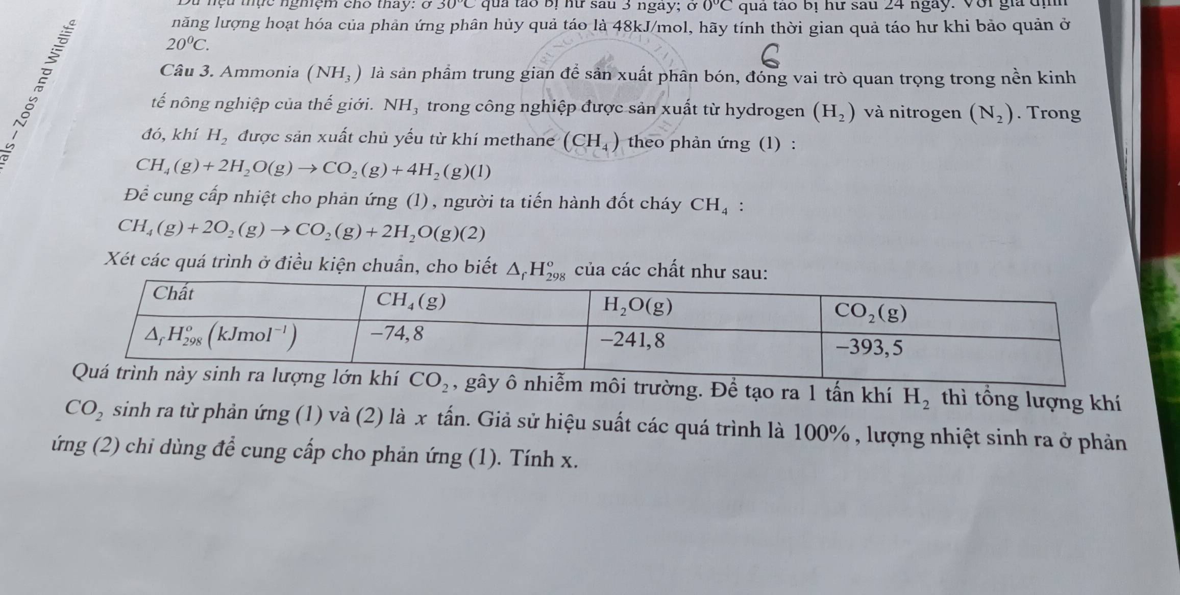 çu thực ngmệm chô tháy: 8 30°C qua tào Bị hữ sau 3 ngày; ở 0°C quả tao bị hữ sau 24 ngày. Với gia đị
năng lượng hoạt hóa của phản ứng phân hủy quả táo là 48kJ/mol, hãy tính thời gian quả táo hư khi bảo quản ở
20^0C.
Câu 3. Ammonia (NH_3) là sản phầm trung gian để sản xuất phân bón, đóng vai trò quan trọng trong nền kinh
và nitrogen (N_2). Trong
tế nông nghiệp của thế giới. NH_3 trong công nghiệp được sản xuất từ hydrogen (H_2)
đó, khí H_2 được sản xuất chủ yếu từ khí methane (CH_4) theo phản ứng (1) :
CH_4(g)+2H_2O(g)to CO_2(g)+4H_2(g)(l)
Để cung cấp nhiệt cho phản ứng (1), người ta tiến hành đốt cháy CH_4 :
CH_4(g)+2O_2(g)to CO_2(g)+2H_2O(g)(2)
Xét các quá trình ở điều kiện chuẩn, cho biết △ _fH_(298)^o của các chất như sau:
ường. Để tạo ra 1 tấn khí H_2 thì tổng lượng khí
CO_2 sinh ra từ phản ứng (1) và (2) là x tấn. Giả sử hiệu suất các quá trình là 100% , lượng nhiệt sinh ra ở phản
g(2) 0 chi dùng để cung cấp cho phản ứng (1). Tính x.