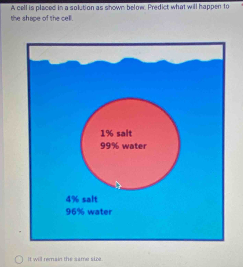 A cell is placed in a solution as shown below. Predict what will happen to 
the shape of the cell. 
It will remain the same size.