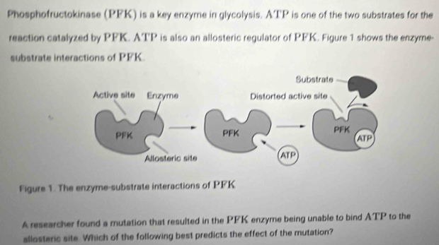 Phosphofructokinase (PFK) is a key enzyme in glycolysis. ATP is one of the two substrates for the 
reaction catalyzed by PFK. ATP is also an allosteric regulator of PFK. Figure 1 shows the enzyme- 
substrate interactions of PFK. 
Figure 1. The enzyme-substrate interactions of PFK
A researcher found a mutation that resulted in the PFK enzyme being unable to bind ATP to the 
allosteric site. Which of the following best predicts the effect of the mutation?