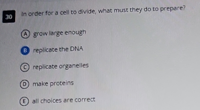 In order for a cell to divide, what must they do to prepare?
A grow large enough
B replicate the DNA
replicate organelles
D make proteins
all choices are correct