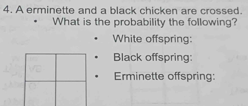 A erminette and a black chicken are crossed. 
What is the probability the following? 
White offspring: 
Black offspring: 
Erminette offspring: