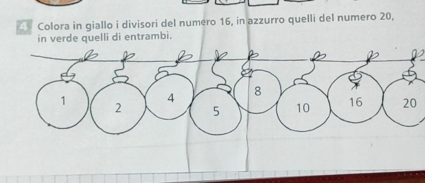 Colora in giallo i divisori del numero 16, in azzurro quelli del numero 20, 
in verde quelli di entrambi.