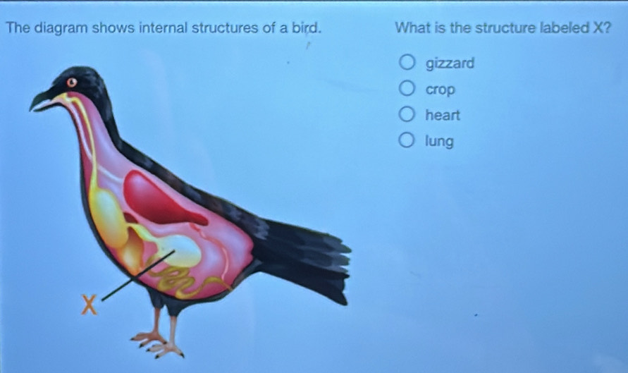 Solved: The diagram shows internal structures of a bird. What is the ...