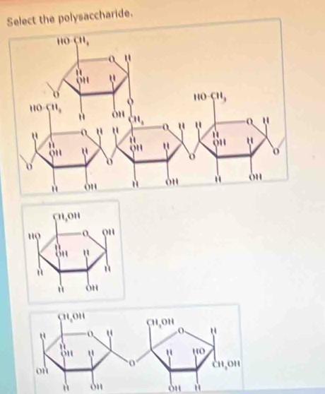 Select the polysaccharide.
ù  ù