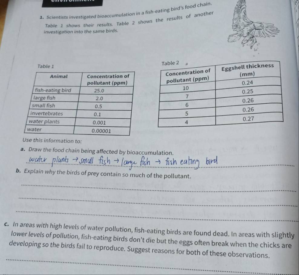 Scientists investigated bioaccumulation in a fish-eating bird's food chain. 
Table 1 shows their results. Table 2 shows the results of another 
investigation into the same birds. 

Use this information to: 
a. Draw the food chain being affected by bioaccumulation. 
_ 
b. Explain why the birds of prey contain so much of the pollutant. 
_ 
_ 
_ 
c. In areas with high levels of water pollution, fish-eating birds are found dead. In areas with slightly 
lower levels of pollution, fish-eating birds don’t die but the eggs often break when the chicks are 
_ 
developing so the birds fail to reproduce. Suggest reasons for both of these observations.