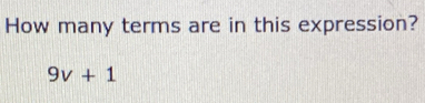 How many terms are in this expression?
9v+1