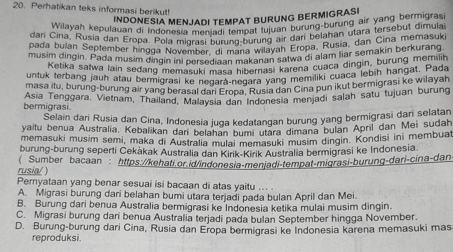 Perhatikan teks informasi berikut!
INDONESIA MENJADI TEMPAT BURUNG BERMIGRASI
Wilayah kepulauan di Indonesia menjadi tempat tujuan burung-burung air yang bermigrasi
dari Cina, Rusia dan Eropa. Pola migrasi burung-burung air dari belahan utara tersebut dimulai
pada bulan September hingga November, di mana wilayah Eropa, Rusia, dan Cina memasuki
musim dingin. Pada musim dingin ini persediaan makanan satwa di alam liar semakin berkurang.
Ketika satwa lain sedang memasuki masa hibernasi karena cuaca dingin, burung memilih
untuk terbang jauh atau bermigrasi ke negarà-negara yang memiliki cuaca lebih hangat. Pada
masa itu, burung-burung air yang berasal dari Eropa, Rusia dan Cina pun ikut bermigrasi ke wilayah
Asia Tenggara. Vietnam, Thailand, Malaysia dan Indonesia menjadi salah satu tujuan burung
bermigrasi.
Selain dari Rusia dan Cina, Indonesia juga kedatangan burung yang bermigrasi dari selatan
yaitu benua Australia. Kebalikan dari belahan bumi utara dimana bulan April dan Mei sudah
memasuki musim semi, maka di Australia mulai memasuki musim dingin. Kondisi ini membuat
burung-burung seperti Cekàkak Australia dan Kirik-Kirik Australia bermigrasi ke Indonesia.
( Sumber bacaan : https://kehati.or.id/indonesia-menjadi-tempat-migrasi-burung-dari-cina-dan
rusia/ )
Pernyataan yang benar sesuai isi bacaan di atas yaitu ... .
A. Migrasi burung dari belahan bumi utara terjadi pada bulan April dan Mei.
B. Burung dari benua Australia bermigrasi ke Indonesia ketika mulai musim dingin.
C. Migrasi burung dari benua Australia terjadi pada bulan September hingga November.
D. Burung-burung dari Cina, Rusia dan Eropa bermigrasi ke Indonesia karena memasuki mas
reproduksi.