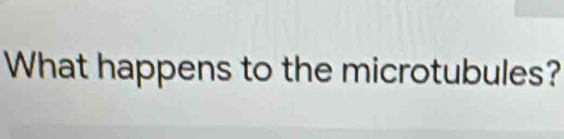 What happens to the microtubules?