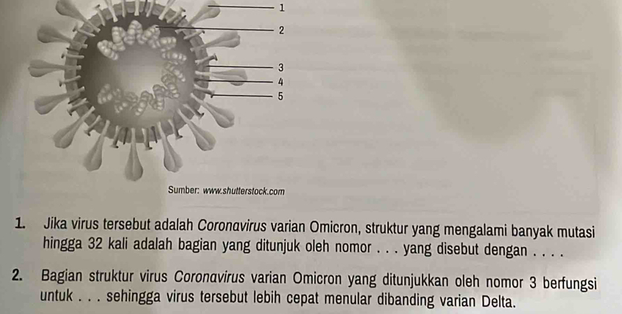 1 
1. Jika virus tersebut adalah Coronavirus varian Omicron, struktur yang mengalami banyak mutasi 
hingga 32 kali adalah bagian yang ditunjuk oleh nomor . . . yang disebut dengan . . . . 
2. Bagian struktur virus Coronavirus varian Omicron yang ditunjukkan oleh nomor 3 berfungsi 
untuk . . . sehingga virus tersebut lebih cepat menular dibanding varian Delta.