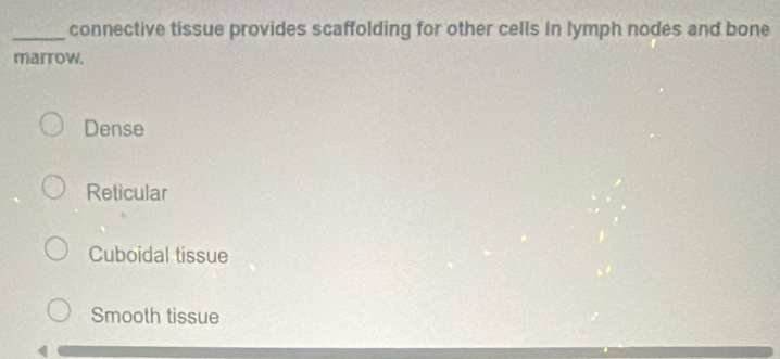 Solved: connective tissue provides scaffolding for other cells in lymph ...