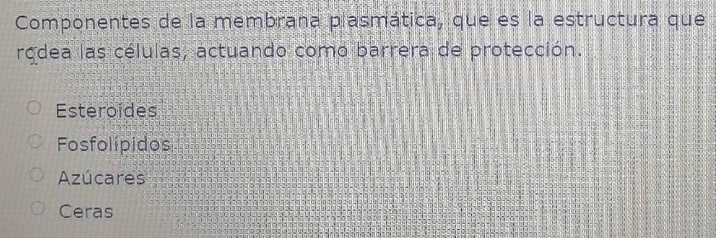 Componentes de la membrana plasmática, que es la estructura que
rodea las células, actuando como barrera de protección.
Esteroides
Fosfolípidos
Azúcares
Ceras