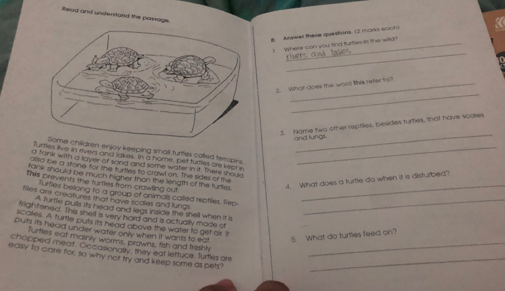 Read and understand the passage. 
B. Answer these questions. (2 marks each) 
_ 
1. Where can you find turtles in the wild? 
_ 
2. What does the word This refer to? 
_ 
3. Name two other reptiles, besides turtles, that have scales 
and lungs. 
dren enjoy keeping small turtles called terrapins, 
Turtles live in rivers and lakes. In a home, pet turtles are kept in_ 
a tank with a layer of sand and some water in it. There should 
also be a stone for the turtles to crawl on. The sides of the 
tank should be much higher than the length of the turtles. 
4. What does a turtle do when it is disturbed? 
This prevents the turtles from crawling out. 
Turtles belong to a group of animals called reptiles. Rep-_ 
tiles are creatures that have scales and lungs._ 
A turtle puils its head and legs inside the shell when it is 
frightened. This shell is very hard and is actually made of 
scales. A turtle puts its head above the water to get air. It 
puts its head under water only when it wants to eat. 
5. What do turtles feed on? 
Turtles eat mainly worms, prawns, fish and freshly 
chopped meat. Occasionally, they eat lettuce, Turtles are_ 
easy to care for, so why not try and keep some as pets?_