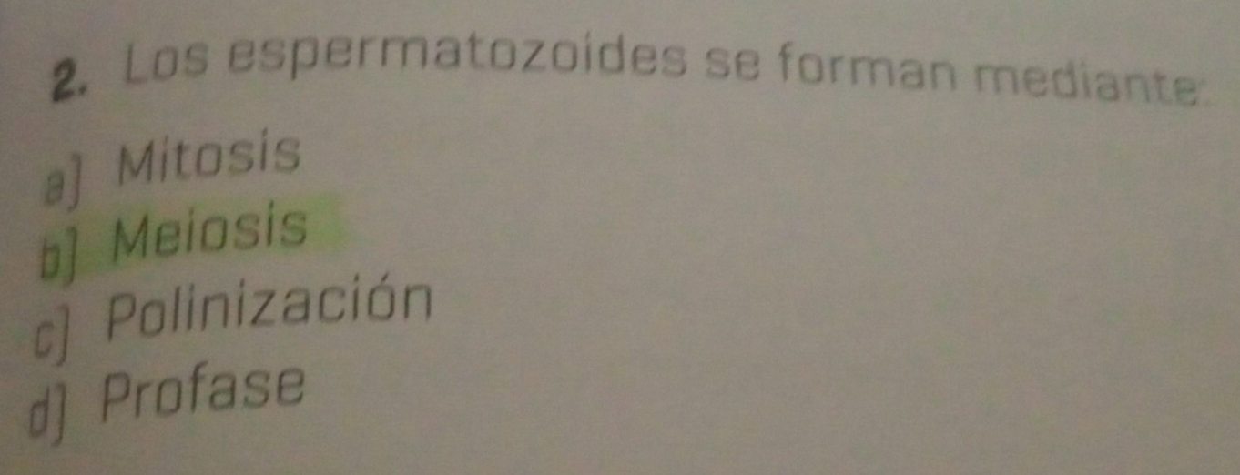 Los espermatozoides se forman mediante:
a] Mitosis
b) Meiosis
c) Polinización
d) Profase