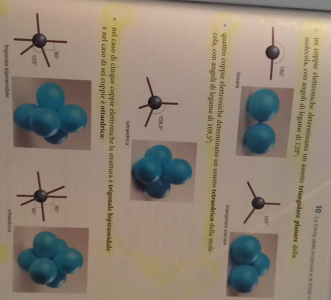 La forma delle molécole e le torze in
tre coppie elettroniche determinano un assetto triangolare planare della 
molecola, con angoli di legame di 120°;
180°
lineare triangolare planare
quattro coppie elettroniche determinano un assetto tetraedrico della mole-
cola, con angoli di legame di 109,5°
109,5°
tetrae
nel caso di cinque coppie elettroniche la struttura è trigonale bipiramidale
e nel caso di sei coppie è ottaedrica;
90°
90°
trigonale bipiramidale
ottaed